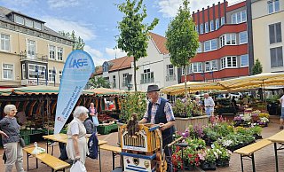 Sieglinde Ullmann besucht gerne den Wochenmarkt in Lage. Als Hans-Dieter Stieber mit seinem Leierkasten vorbeikommt, kommt sie mit ihm ins Gespräch. - Astrid Sewing