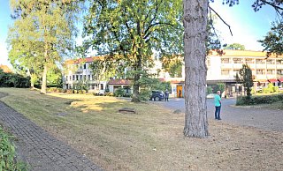 Auf dem Gelände des Sophienhauses (im Hintergrund das Hauptgebäude) befinden sich einige schöne alte Bäume. Für die geplanten zehn Neubauten würden einige weichen müssen. Das gilt übrigens auch für die alten Häuser, sie würden abgerissen. Foto: Thomas Reineke - Thomas Reineke