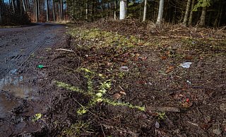 Die Polizei hatte die Unfallstelle an einem Waldweg in Kalletal damals markiert. - FreitagTV/Stock Die Polizei hatte die Unfallstelle an einem Waldweg in Kalletal damals markiert. - FreitagTV/Stock