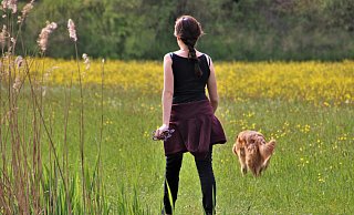 Eine Taschengeldbörse vermittelt zwischen Jugendlichen und Senioren für kleinere Arbeiten im Alltag. Dazu zählen Spaziergänge mit dem Hund oder Gartenarbeiten. - Symbolbild: Pixabay