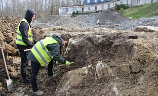 Dominika und Jakob Florczyk legen eine massive Natursteinmauer frei. Sie bildete einst die Einfassung für die barocke Gartenanlage. - Jana Beckmann Dominika und Jakob Florczyk legen eine massive Natursteinmauer frei. Sie bildete einst die Einfassung für die barocke Gartenanlage. - Jana Beckmann