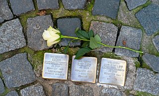 Eine Rose liegt neben drei Stolpersteinen in der Bamberger Innenstadt. So öhnlich könnte es in Blomberg auch bald aussehen. - (c) Copyright 2021, dpa (www.dpa.de). Alle Rechte vorbehalten Eine Rose liegt neben drei Stolpersteinen in der Bamberger Innenstadt. So öhnlich könnte es in Blomberg auch bald aussehen. - (c) Copyright 2021, dpa (www.dpa.de). Alle Rechte vorbehalten