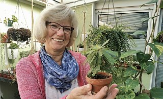 Macht sich angesichts der hohen Gaspreise Sorgen um ihre Zimmerpflanzen-Raritäten: die Humfelderin Ursula Wiegel, hier mit der kleinsten Palme der Welt. - Sylvia Frevert Macht sich angesichts der hohen Gaspreise Sorgen um ihre Zimmerpflanzen-Raritäten: die Humfelderin Ursula Wiegel, hier mit der kleinsten Palme der Welt. - Sylvia Frevert