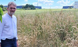 Gerd Bicker steht in einem Garten, hinter dem die Umgehungsstraße vorbeiführen würde. Im Hintergrund ist das Industriegebiet zu sehen. Zwischen den Firmengebäuden ist die Lücke zu sehen, hier würde die Trasse verlaufen. - Astrid Sewing Gerd Bicker steht in einem Garten, hinter dem die Umgehungsstraße vorbeiführen würde. Im Hintergrund ist das Industriegebiet zu sehen. Zwischen den Firmengebäuden ist die Lücke zu sehen, hier würde die Trasse verlaufen. - Astrid Sewing