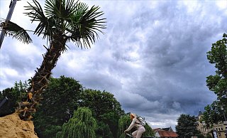 Dräuender Himmel über Palmen in der Residenz: Vor Detmold macht der Klimawandel nicht Halt. Daran muss man sich anpassen, weswegen es künftig ein Anpassungsmanagament und ein Anpassungskonzept geben soll. - Sven Koch
