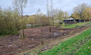 Die Pflegearbeiten am Ufer der Emmer sorgen bei den Passanten nicht nur für Verständnis. Der Eigenbetrieb Straßenbau des Kreises wehrt sich gegen die Vorwürfe. - Marianne Schwarzer Die Pflegearbeiten am Ufer der Emmer sorgen bei den Passanten nicht nur für Verständnis. Der Eigenbetrieb Straßenbau des Kreises wehrt sich gegen die Vorwürfe. - Marianne Schwarzer