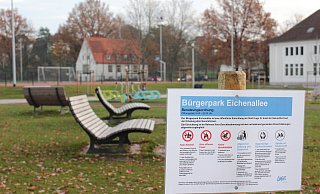 Im Bürgerpark Eichenallee kann man sich ausruhen, aber auch Sport treiben. Die Koalition aus CDU,FDP und Grünen könnte sich vorstellen, dass hier Sportgeräte aufgebaut werden, die besonders für ältere Menschen geeignet sind. - Sandra Castrup
