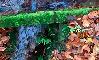 Wasser-Zeichen heißt die Ausstellung, die in Schwalenberg eröffnet wird. - Grafik: Sabine Schellhorn