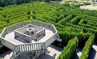 Das Wegenetz des Irrgartens mit seiner Aussichtsplattform in der Mitte ist insgesamt 2,4 Kilometer lang, und die Thuja-Pflanzen haben mittlerweile eine Höhe von 4,50 Metern und mehr erreicht. Dann kann keiner mehr drüberschauen. - Hortus Vitalis Das Wegenetz des Irrgartens mit seiner Aussichtsplattform in der Mitte ist insgesamt 2,4 Kilometer lang, und die Thuja-Pflanzen haben mittlerweile eine Höhe von 4,50 Metern und mehr erreicht. Dann kann keiner mehr drüberschauen. - Hortus Vitalis
