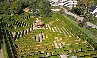 Achtung Spoiler-Alarm: Wer hier genau hinschaut, kann eventuell den schnellsten Weg zum Turm in der Mitte des Irrgartens
heraus suchen. Für alle anderen zur Beruhigung: Bisher hat noch jeder aus dem „Hortus Vitalis" wieder herausgefunden. Im Hintergrund ist die Lietholz-Klinik zu erkennen. - Archivfoto: Hortus Vitalis Achtung Spoiler-Alarm: Wer hier genau hinschaut, kann eventuell den schnellsten Weg zum Turm in der Mitte des Irrgartens
heraus suchen. Für alle anderen zur Beruhigung: Bisher hat noch jeder aus dem „Hortus Vitalis" wieder herausgefunden. Im Hintergrund ist die Lietholz-Klinik zu erkennen. - Archivfoto: Hortus Vitalis