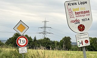 An einer Hochspannungsleitung am Reinertsberg bei Welstorf gab es am Donnerstag einen Schaden. Anwohner hörten einen lauten Knall. - Till Brand
