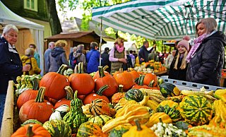 Der Bad Meinberger Bauernmarkt hat 2023 wieder viele Besucher angezogen. Dieses Jahr soll er größer werden - auch um die Verluste des Weinfestes zu kompensieren. - Nicole Ellerbrake
