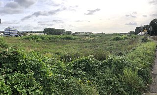 Für das Werler Feld an der B 239 gibt es neue Pläne. - Thomas Reineke Für das Werler Feld an der B 239 gibt es neue Pläne. - Thomas Reineke