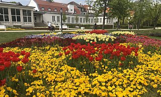 Es blüht im Kurpark von Bad Salzuflen.  - Thomas Reineke