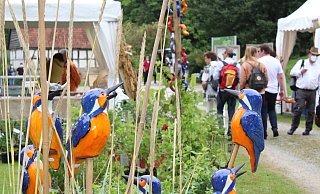 Für Gartenliebhaber gabe es an den Pflanzen- und Dekorationsständen viele Inspirationen. - Sandra Castrup Für Gartenliebhaber gabe es an den Pflanzen- und Dekorationsständen viele Inspirationen. - Sandra Castrup