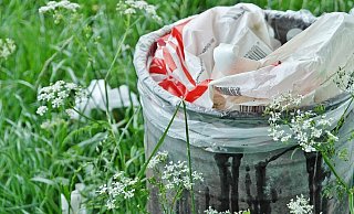 Immer wieder entsorgen Menschen ihren Müll illegal. - Symbolbild: Pixabay