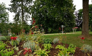 Die ersten Sportgeräte haben ihren Weg in den „Park mit Potenzial" gefunden. Weitere Anschaffungen, vor allem Spielgeräte für Kinder, sollen folgen. - Lorraine Brinkmann Die ersten Sportgeräte haben ihren Weg in den „Park mit Potenzial" gefunden. Weitere Anschaffungen, vor allem Spielgeräte für Kinder, sollen folgen. - Lorraine Brinkmann