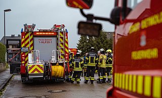 20 Schlangen hat die Feuerwehr in Pivitsheide gerettet, nachdem es in einem Zimmer gebrannt hatte. - FreitagTV 20 Schlangen hat die Feuerwehr in Pivitsheide gerettet, nachdem es in einem Zimmer gebrannt hatte. - FreitagTV