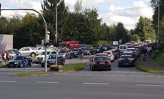Lange Schlangen auf dem Weg nach Wilbasen: Dieses Bild könnte sich in diesem Jahr wiederholen, denn alle Pendelbusse aus den Dörfern gen Wilbasen sind gestrichen worden - weil es kein Personal gibt, sagt der Kreis. - Silke Buhrmester Lange Schlangen auf dem Weg nach Wilbasen: Dieses Bild könnte sich in diesem Jahr wiederholen, denn alle Pendelbusse aus den Dörfern gen Wilbasen sind gestrichen worden - weil es kein Personal gibt, sagt der Kreis. - Silke Buhrmester