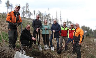 Aufforstung: In Aktion sind (von links) Sascha Stephan (Forstwirt), Jörg Düning-Gast (Verbandsvorsteher Landesverband Lippe), Jens Beining (CEO Wortmann), Sarah Schröder und Andreas Burmeister (Projektteam Wortmann), Hermann Kaiser (Revierförster), Jan-Otto Hake (Leiter der Forstabteilung mit Dackel Ludwig) und Wolfram Arlt (Forstwirt). - Wortmann