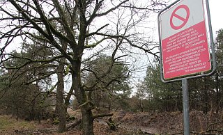 Warnschilder verbieten Unbefugten das Betreten des Truppenübungsplatzes Stapel. Trampelpfade zeigen aber, dass das viele Leute nicht interessiert. - Archivfoto: Dieter Asbrock Warnschilder verbieten Unbefugten das Betreten des Truppenübungsplatzes Stapel. Trampelpfade zeigen aber, dass das viele Leute nicht interessiert. - Archivfoto: Dieter Asbrock