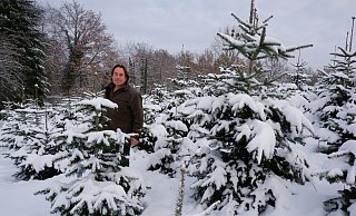 André Hosters hat 2016 mit dem Anbau von Nordmanntannen begonnen. Verkauft werden sie seit zwei Jahren. Bis dahin mussten die Bäume erstmal wachsen. - Lorraine Brinkmann André Hosters hat 2016 mit dem Anbau von Nordmanntannen begonnen. Verkauft werden sie seit zwei Jahren. Bis dahin mussten die Bäume erstmal wachsen. - Lorraine Brinkmann