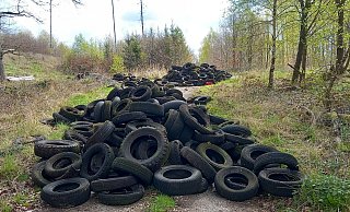 Dreiste, illegale Reifenentsorgung beklagt der Landesverband Lippe im Beller Holz. - LVL