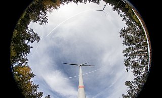 Windkraft im Wald? In Lippe seit Jahren ein großes Thema. - (c) Copyright 2021, dpa (www.dpa.de). Alle Rechte vorbehalten