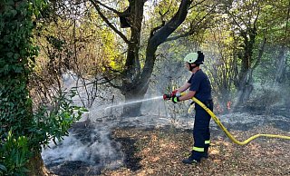 Die Feuerwehr löscht einen Flächenbrand nördlich der Hamelner Straße in Bösingfeld. Dort standen am Mittwoch etwa 50 Quadratmeter in Flammen. - Löschzug Bösingfeld
