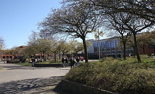 Das Schulzentrum Aspe mit der bereits fertiggestellten und neu gebauten Realschule (rechts) und im Hintergrund der Gesamtschule, die derzeit noch saniert wird. - Thomas Reineke