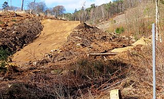 Wenn die Mountainbike-Strecke fertig ist, die die Naturfreunde auf ihrem eigenen Waldgrundstück am Ende des Welschenweges bauen, bietet sie auch anspruchsvollen Downhillfahrern Anreize. Dann sollen auch Sprünge von 12 bis 15 Metern möglich sein. Foto: Gunter Held - Gunter Held Wenn die Mountainbike-Strecke fertig ist, die die Naturfreunde auf ihrem eigenen Waldgrundstück am Ende des Welschenweges bauen, bietet sie auch anspruchsvollen Downhillfahrern Anreize. Dann sollen auch Sprünge von 12 bis 15 Metern möglich sein. Foto: Gunter Held - Gunter Held