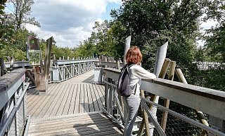 Für die Landesgartenschau in Bad Iburg entstand ein Baumwipfelpfad, der alleine schon mehr als drei Millionen Euro kostete. - Axel Bürger(LZ)