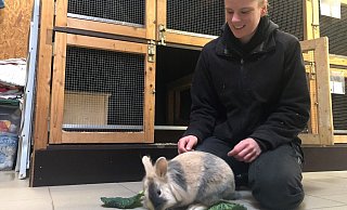 Tierheim-Mitarbeiterin Aileen Ott mit dem einjährigen Löwenköpfchen-Mix Rodrigo. Das Kaninchen sucht ein neues Zuhause. - Sven Kienscherf Tierheim-Mitarbeiterin Aileen Ott mit dem einjährigen Löwenköpfchen-Mix Rodrigo. Das Kaninchen sucht ein neues Zuhause. - Sven Kienscherf