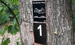 Wegmarken weisen auf die Rundwege Karl-Bachler-Weg und den Wanderweg 1 hin. Darüber sieht man einen Wegweiser für den Hansaweg. - Thomas Reineke Wegmarken weisen auf die Rundwege Karl-Bachler-Weg und den Wanderweg 1 hin. Darüber sieht man einen Wegweiser für den Hansaweg. - Thomas Reineke