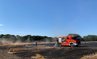 Große Teile des Kornfelds nahe der Ostwestfalenstraße sind bereits abgebrannt. Die Feuerwehr versucht, ein Ausbreiten der Flammen zu verhindern. - Daniel Hobein/Freiwillige Feuerwehr Bad Salzuflen