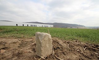Für die Erschließung des Gewerbegebiets Echternhagen II – im Bild ein Teil der Erweiterungsfläche mit Grenzstein – stehen 750.000 Euro im Haushalt. - Jens Rademacher
