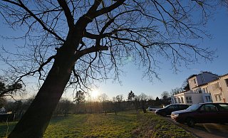 Direkt unterhalb des Meditationszentrums Auraoum (rechts im Bild) am Bad Meinberger Johanna-Fuchs-Weg ist noch Platz für 15 Reihenhäuser. - Jost Wolf