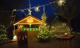 Am Montag ist es soweit: das Alverdisser Weihnachtshaus mit 100.000 Lichtern öffnet seine Tore. - Archiv Sylvia Frevert