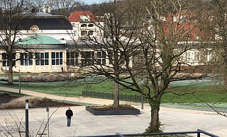 Die Eiche in der Bildmitte (im Hintergrund) im Kurpark muss gefällt werden. - Thomas Reineke