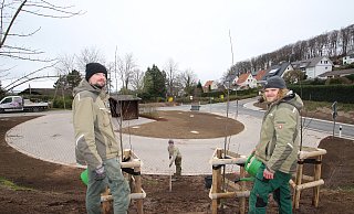 Grünarbeiten führen Eugen Wiebe (von links), David Harrack und Jonas Sauer von der Kalletaler Firma Reineke aus. Sie haben unter anderem drei Säulenbuchen eingepflanzt. In der Mitte der Buswendeschleife sind Samen für eine Blühwiese eingesät. - Jens Rademacher Grünarbeiten führen Eugen Wiebe (von links), David Harrack und Jonas Sauer von der Kalletaler Firma Reineke aus. Sie haben unter anderem drei Säulenbuchen eingepflanzt. In der Mitte der Buswendeschleife sind Samen für eine Blühwiese eingesät. - Jens Rademacher