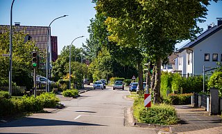 Im Lopshorner Weg erschweren umstehende Bäume die Sicht auf die dortige Fußgängerampel. Nun sollen sie, im Sinne der Verkehrssicherheit, entfernt werden. - Raphael Bartling Im Lopshorner Weg erschweren umstehende Bäume die Sicht auf die dortige Fußgängerampel. Nun sollen sie, im Sinne der Verkehrssicherheit, entfernt werden. - Raphael Bartling