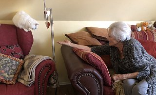 Heidemarie Helmis und Katze "Ginny" teilen sich seit kurzem die Wohnung. - Sven Kienscherf Heidemarie Helmis und Katze "Ginny" teilen sich seit kurzem die Wohnung. - Sven Kienscherf