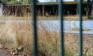Im geschlossenen Augustdorfer Freibad bahnt sich die Natur immer weiter ihren Weg. - Nico Duellmann Im geschlossenen Augustdorfer Freibad bahnt sich die Natur immer weiter ihren Weg. - Nico Duellmann