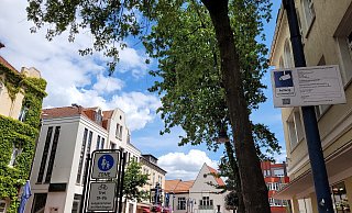 Man achtet nicht so darauf, aber es gibt an jedem Eingang zum Marktplatz in Lage Hinweise darauf, dass der Platz videoüberwacht ist. Deshalb gibt es Bildmaterial, das die Stadt der Polizei zur Verfügung gestellt hat, nachdem die Beton-Skulptur auf dem Marktplatz komplett zertrümmert worden war. - Astrid Sewing