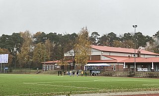 Das "Wäldchen" hinter dem Sportplatz am Rennekamp. - Michael Zans