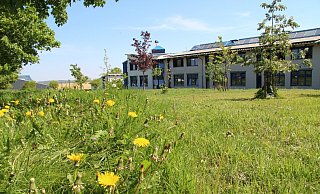 Wegen der Rückkehr zu G9 muss das Gymnasium im Schulzentrum Horn erweitert werden. Das soll auf dieser Grünfläche erfolgen. - Dieter Asbrock