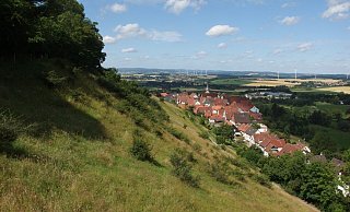 Auf dem Burgberg werden einige Büsche entfernt. - Biologische Station Lippe
