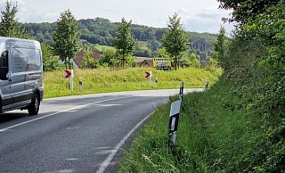 Die neuartigen Kunststoff-Kurvenleittafeln stehen seit kurzem an der B 238 im Bereich Elend. - Nadine Uphoff
