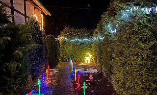 Eigentlich sieht es im Garten von Familie Brandt so aus. Die bunte Beleuchtung wurde allerdings zum zweiten Mal beschädigt. - Isabell Brandt