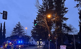 Die Feuerwehr musste den Ampelmast vom Baum befreien. - C.Rieks